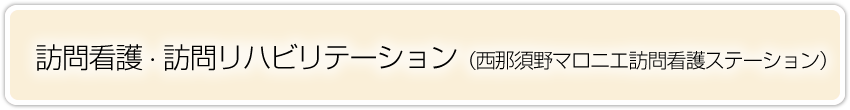 訪問看護・訪問リハビリテーション（訪問看護ステーション）